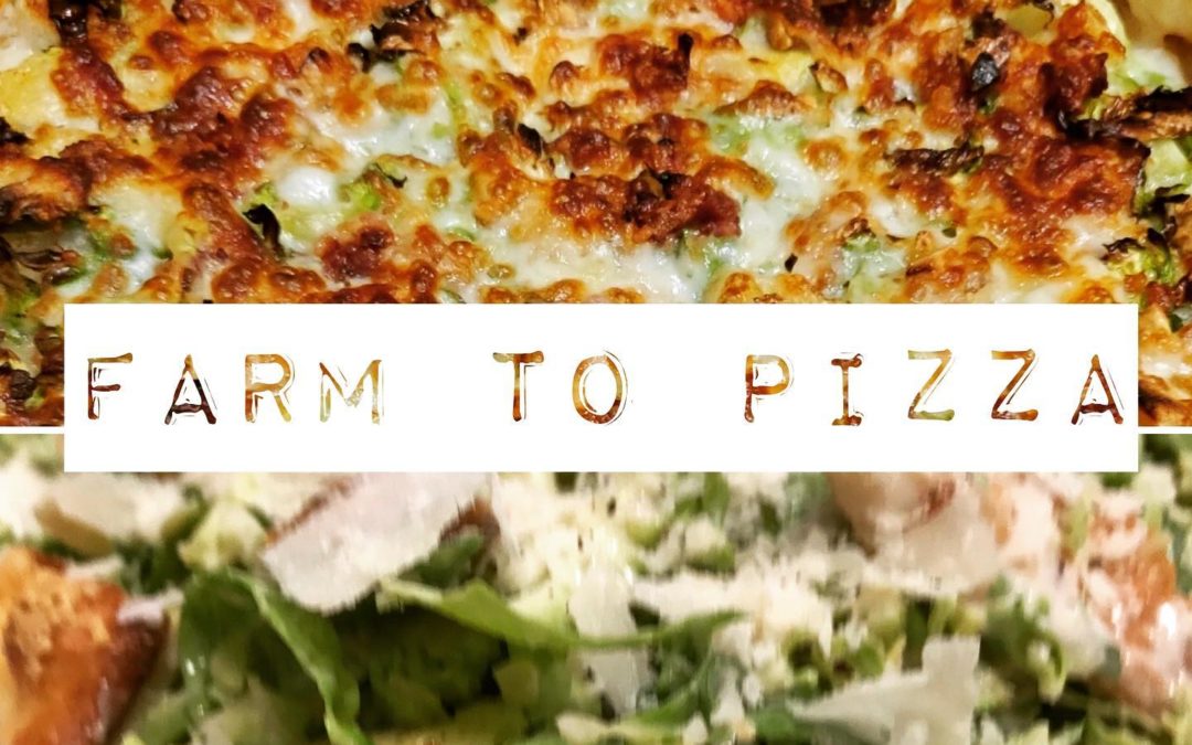 Farm to Pizza: The Sproutdale is back!